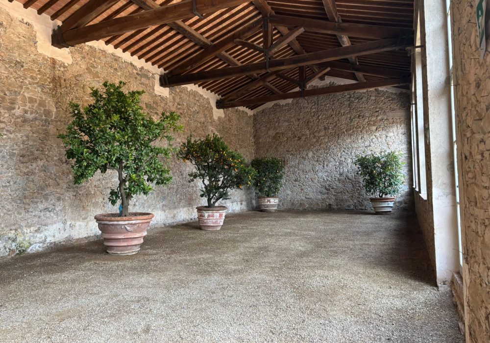 Interni Limonaia