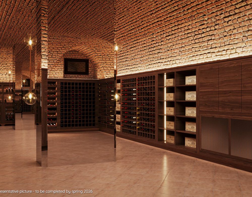 The Wine Cellar - rendering