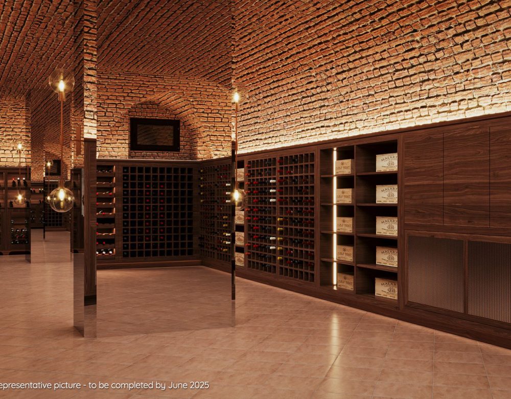 Rendering - Cantina dei vini