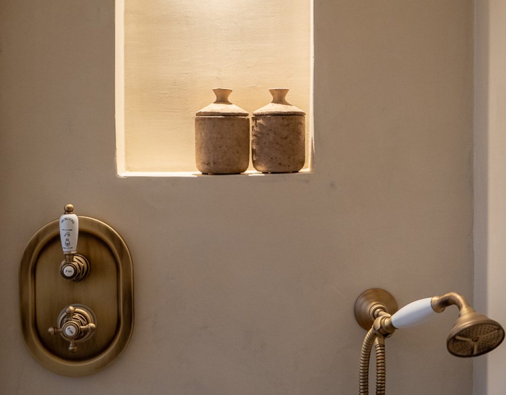 Suite Felice - shower det
